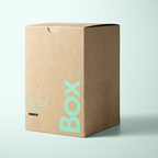 Custom Kraft Tuck Top Boxes