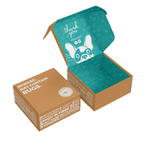 Custom Kraft Mailer Boxes
