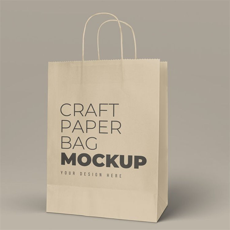 Takeaway Kraft Paper Bags Main image